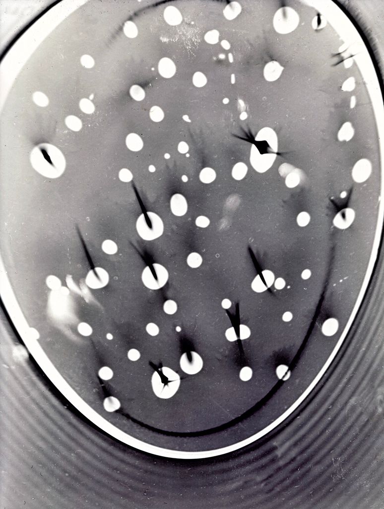White Spots