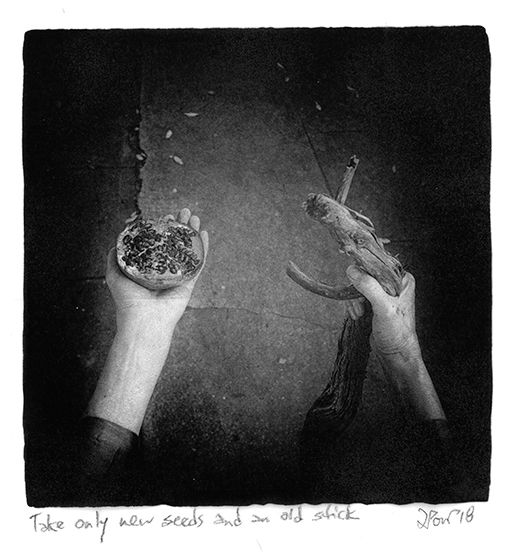 Take only new seeds and an old stick