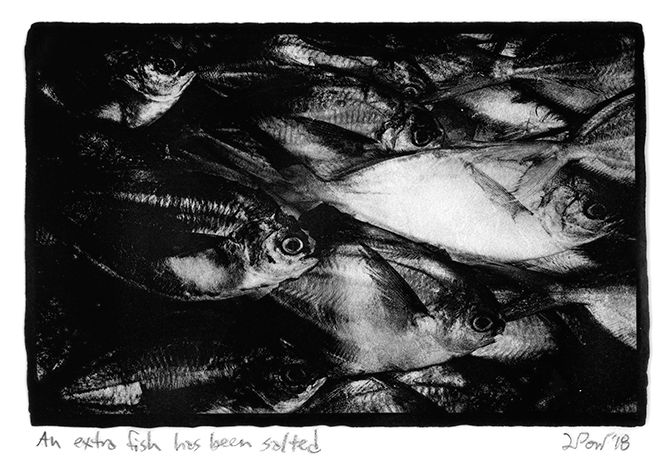 An extra fish has been salted