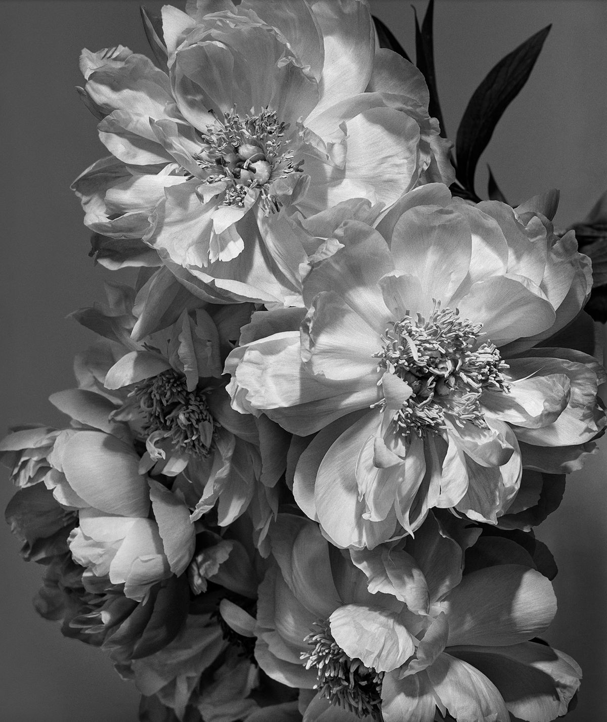 Screenshot 2025-02-27 at 11.37.28 AM.jpeg