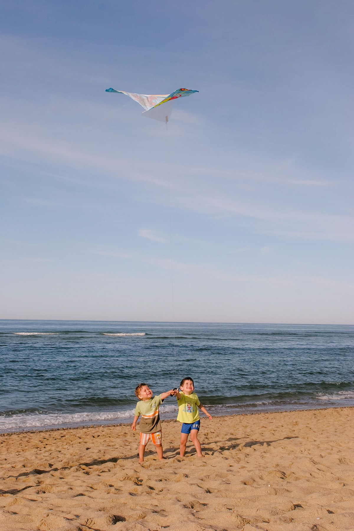 Kite on a Beach