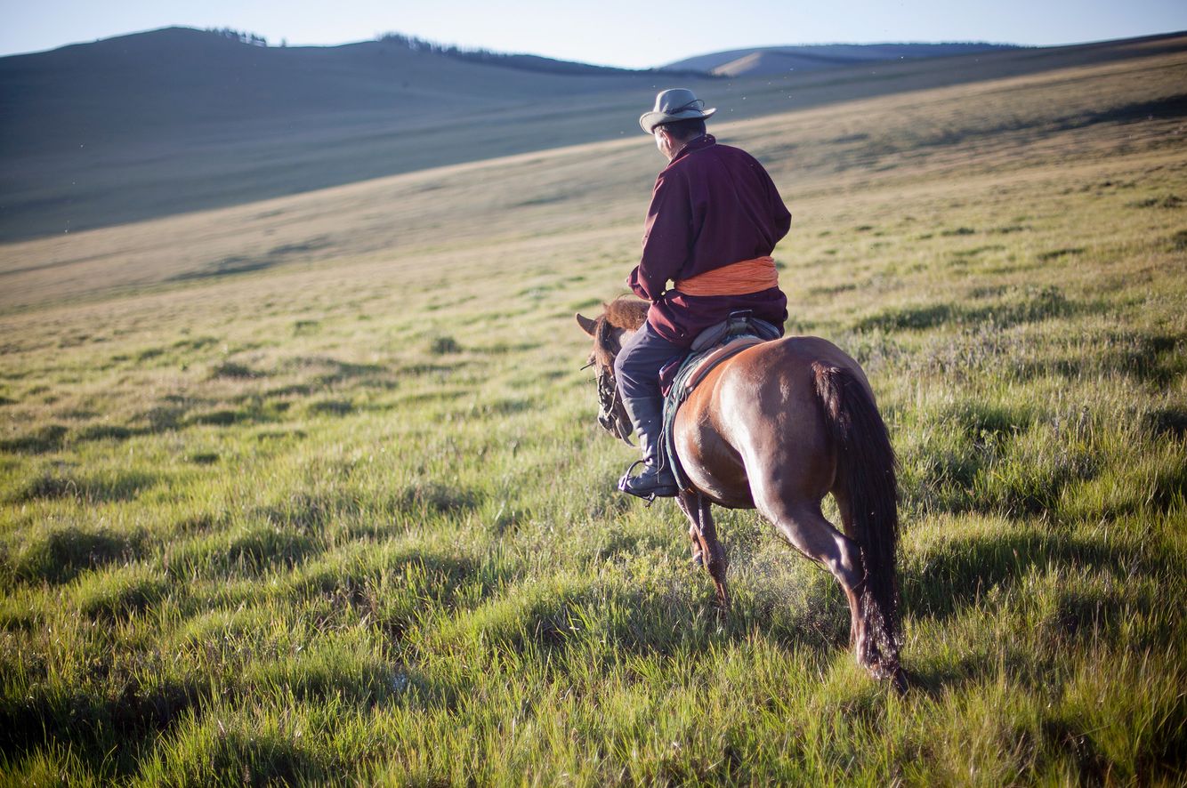 Horse Rider in Mongolia