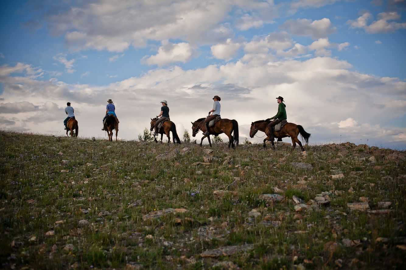 Horse Riders in a Field