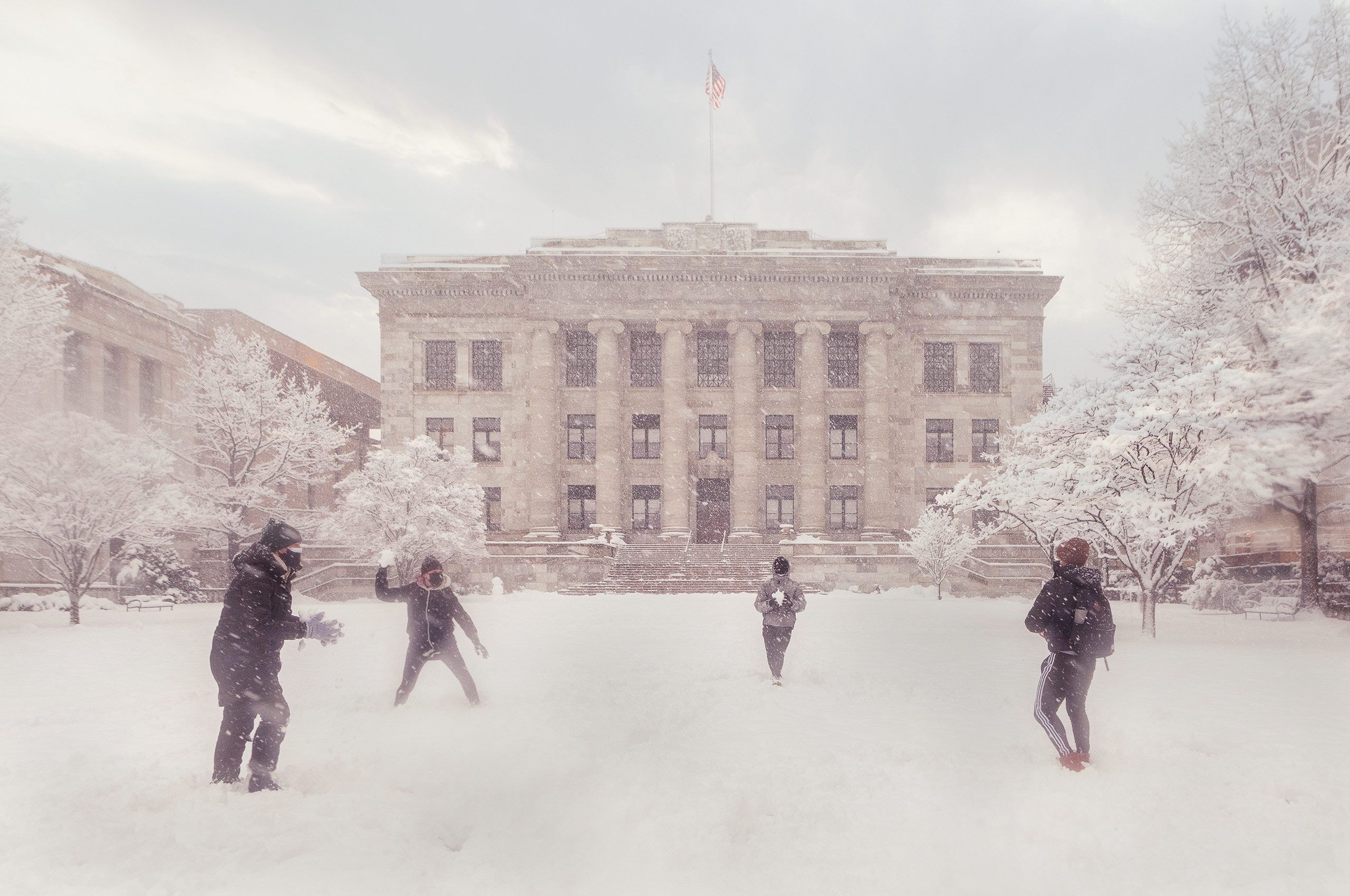 Harvard Medical School