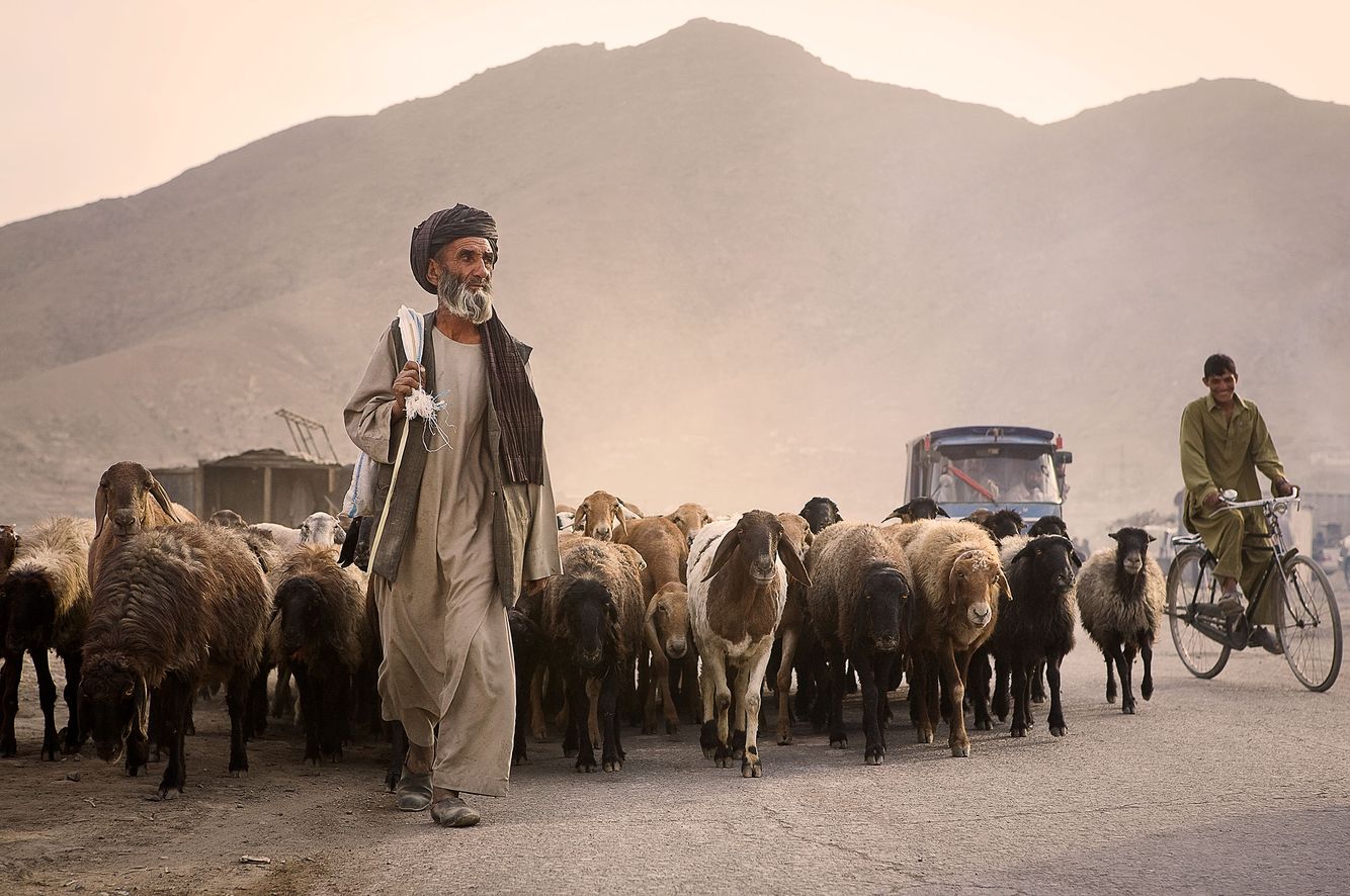 Afghan Road Life