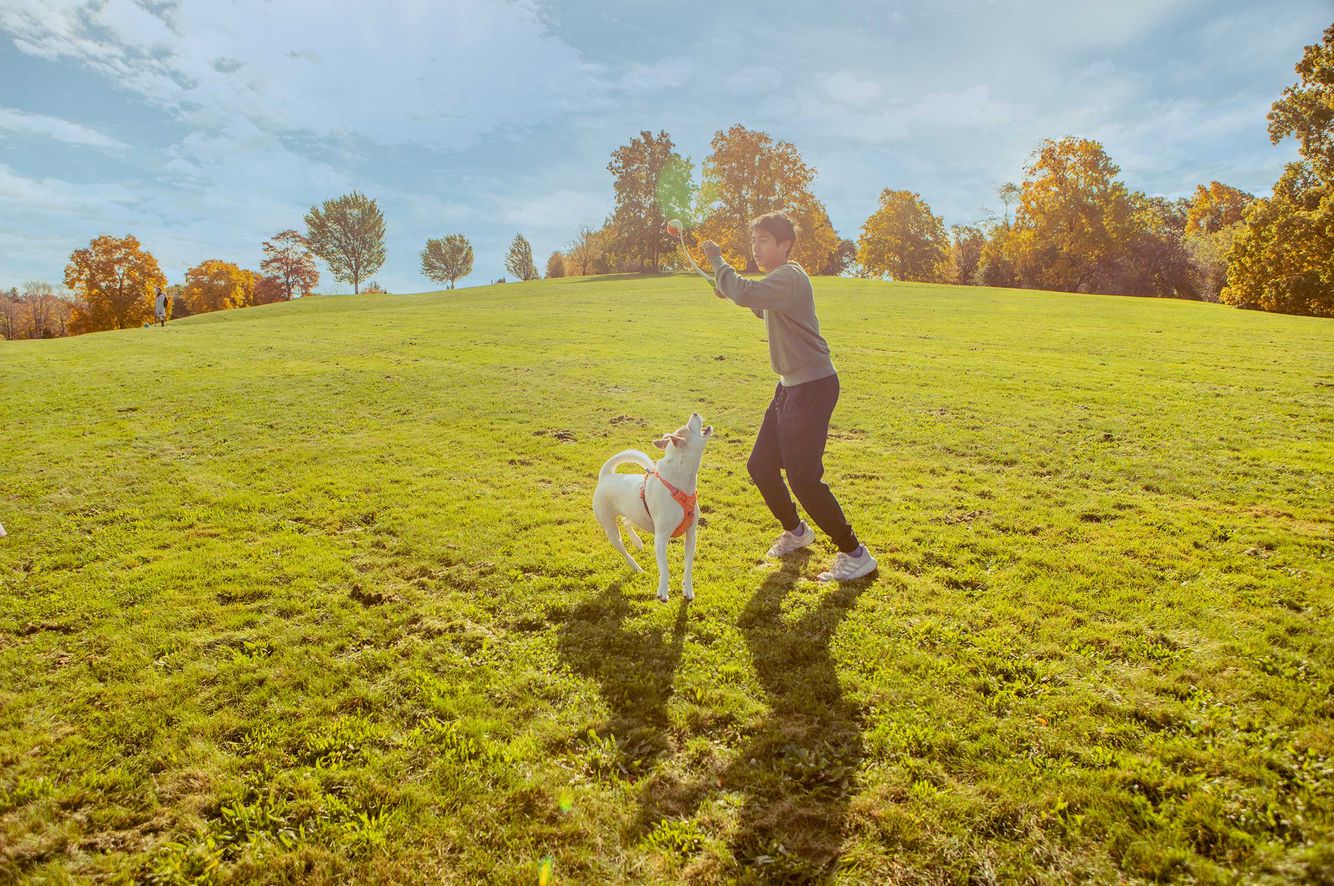 A Boy and his dog