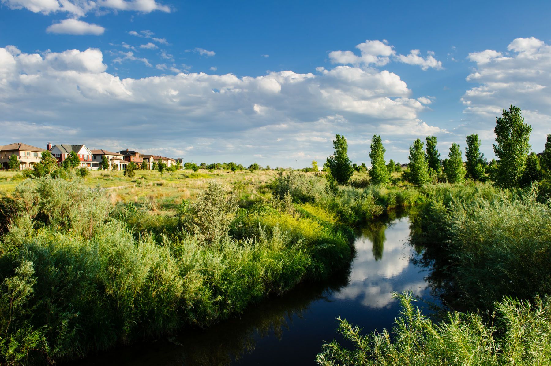 1strada_stapleton_2010_0419