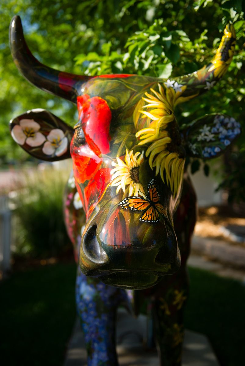 1strada_stapleton_2010_1323