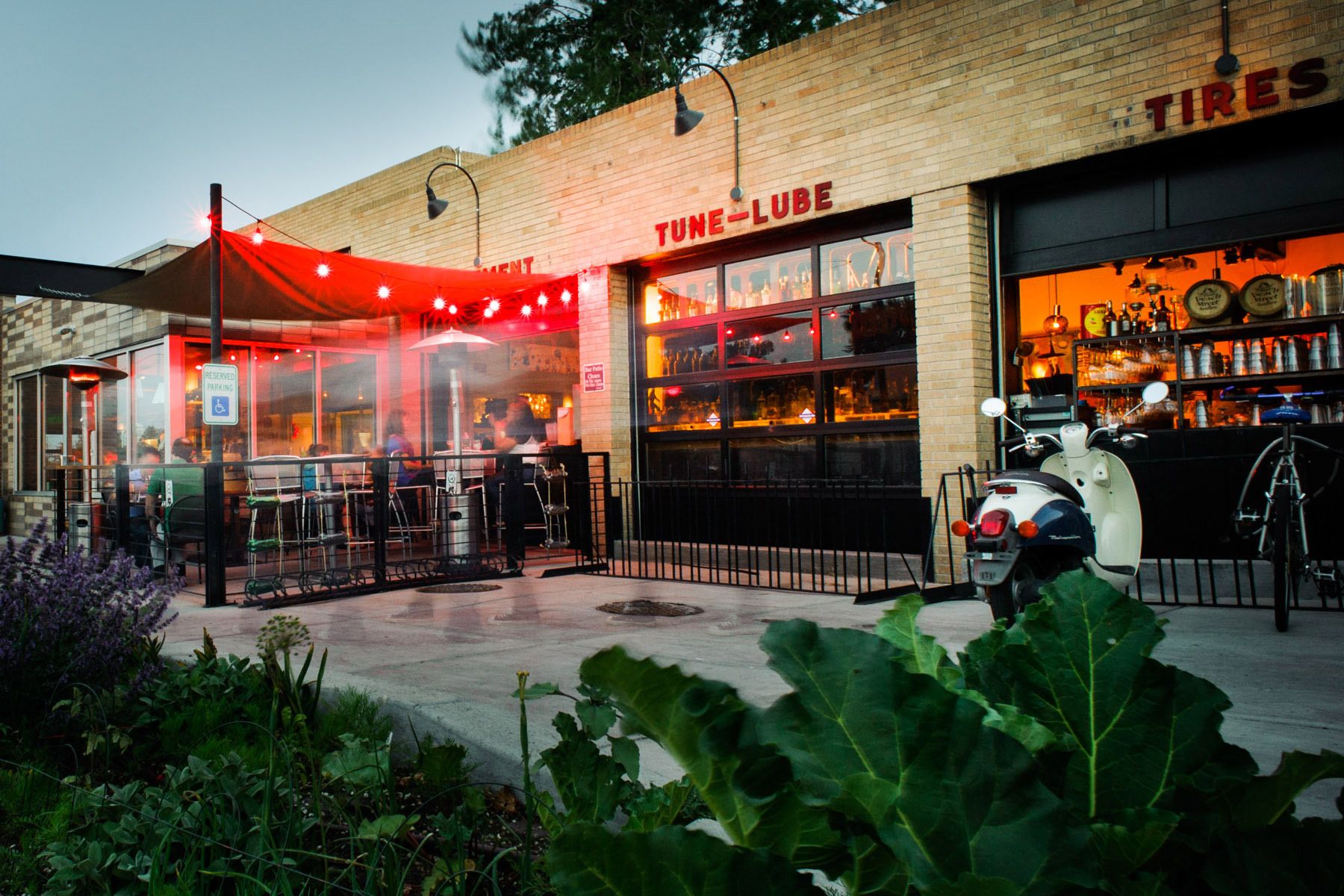 1lohi_root_down_0079