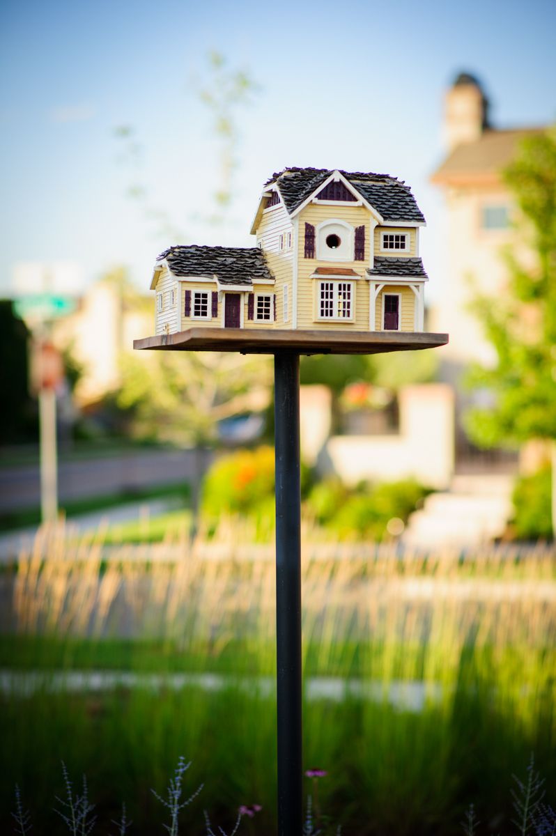 1strada_stapleton_2010_1882