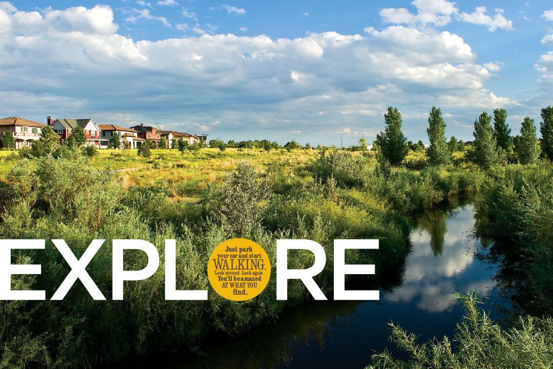 1stapleton_community_brochure_15