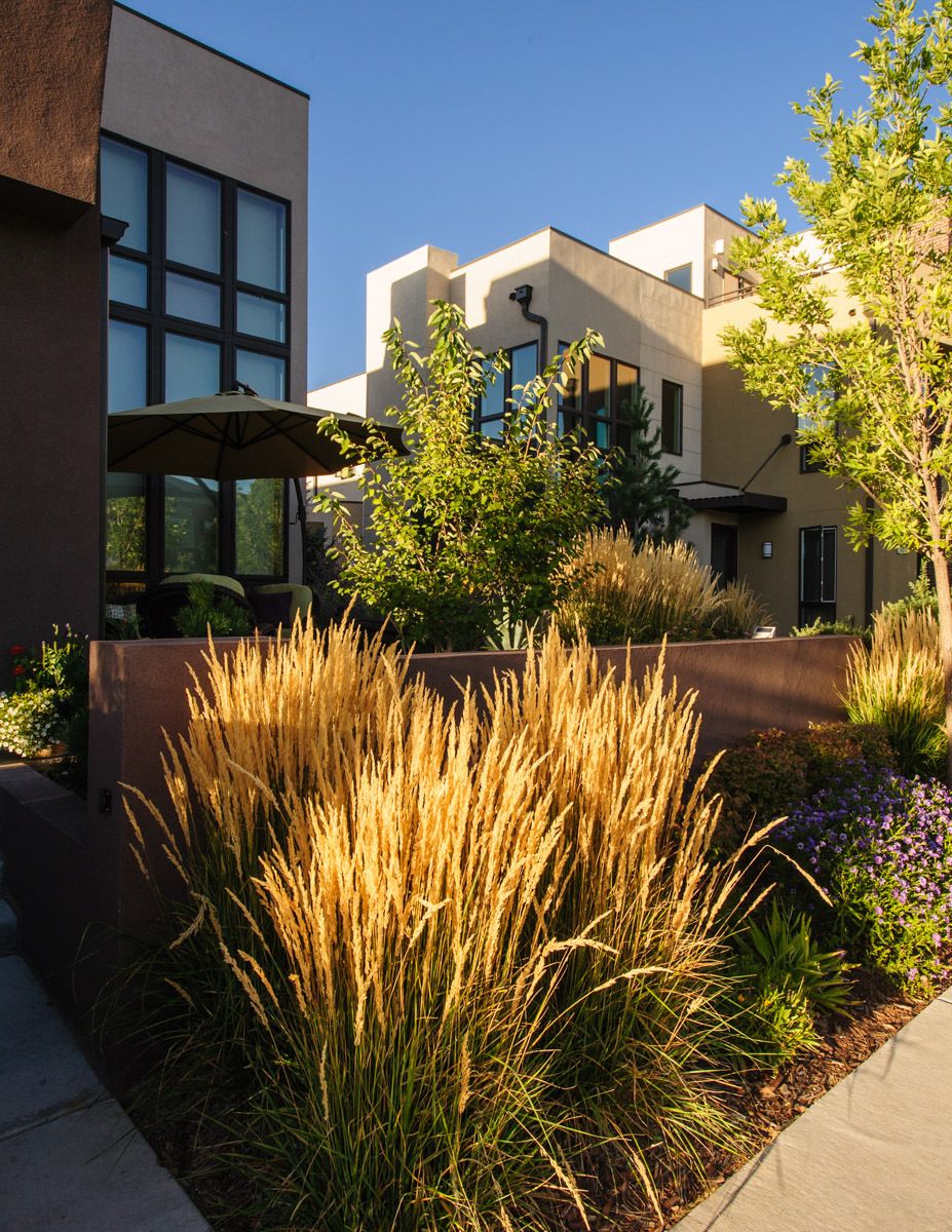 1stapleton_architecture_2010_4434