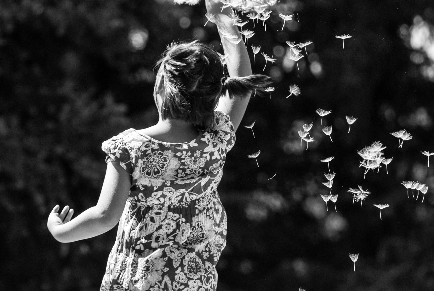 1r20090716_olivia_001_120