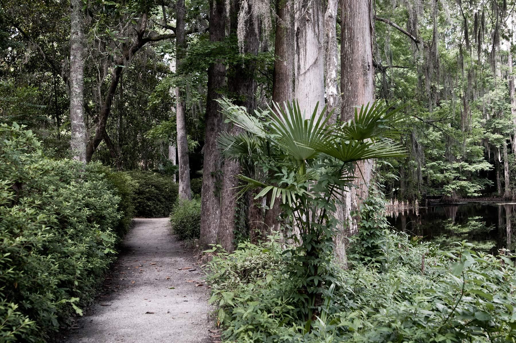 1middleton_plantation_gardens_