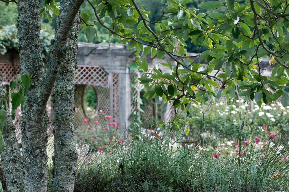 1biltmore_gardens