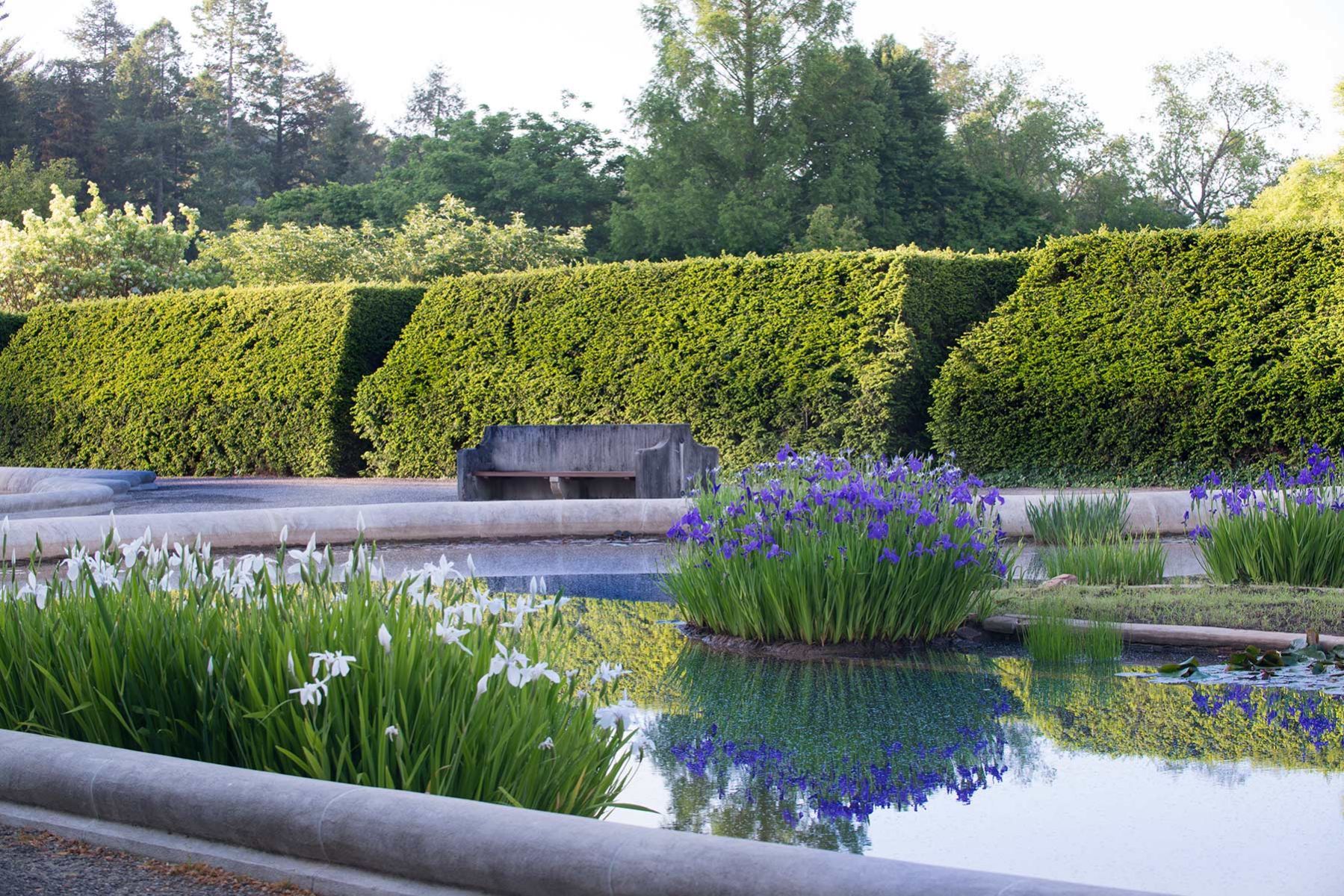 1_scs1895_051015_italiangrdn_irises