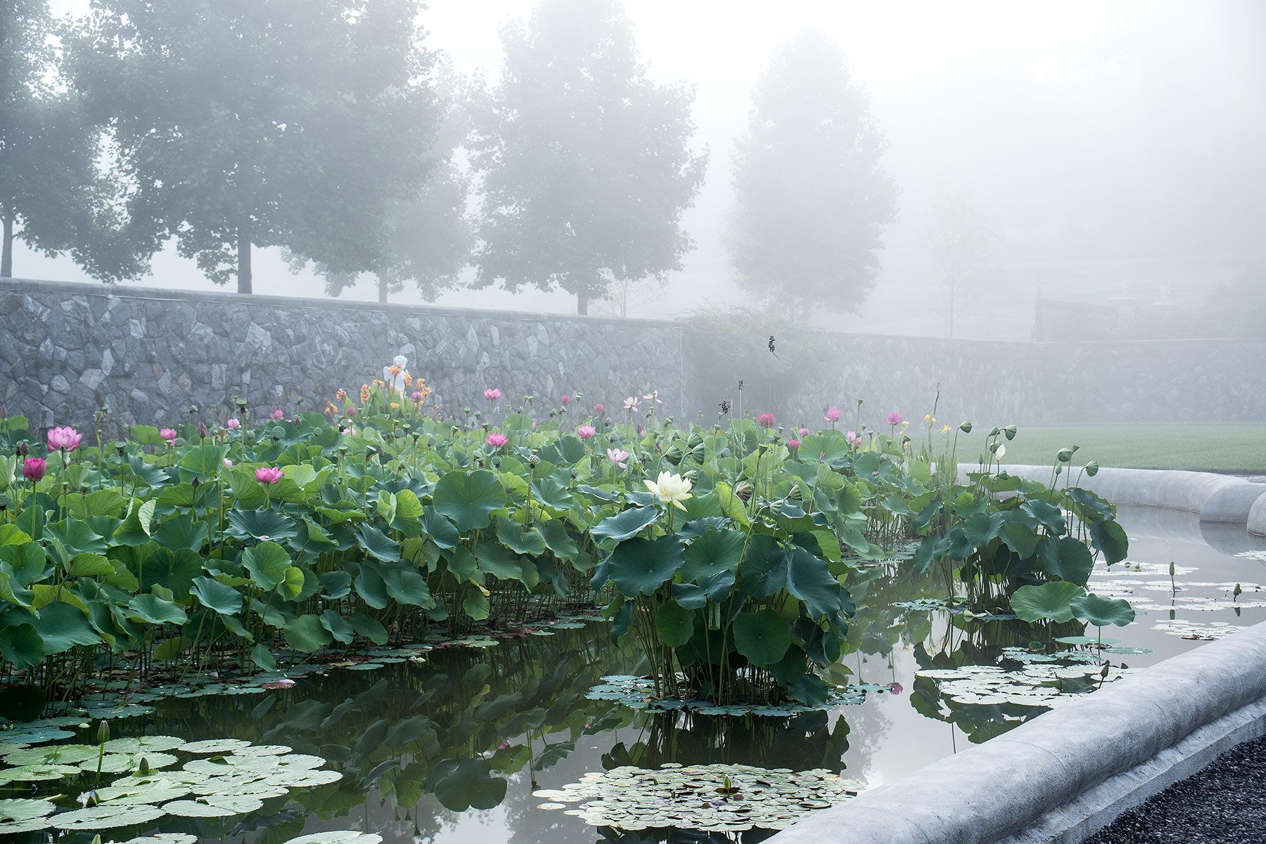 1biltmore_italian_garden