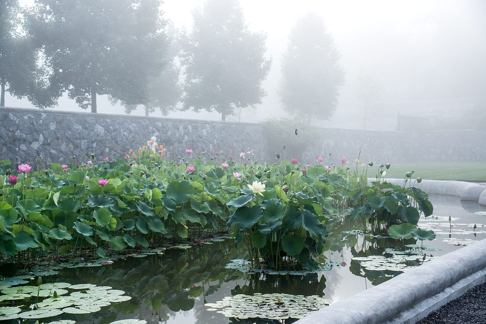 1biltmore_italian_garden