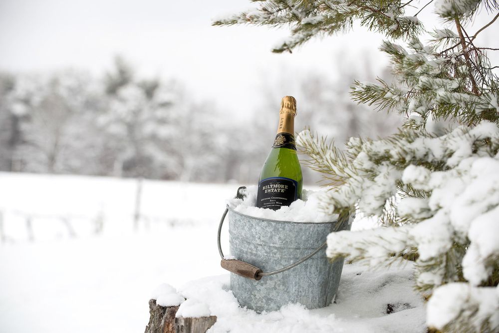 1_scs6914vineyardsnow