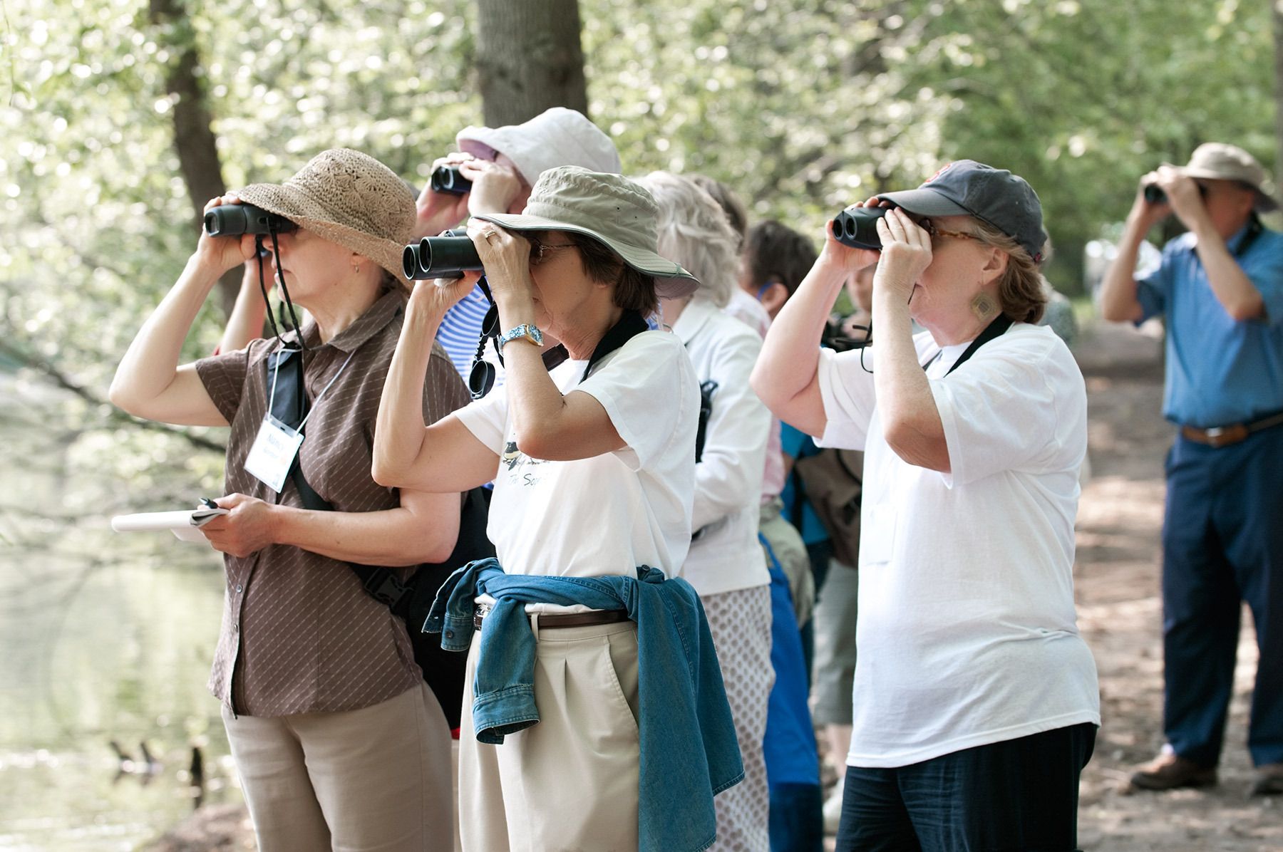 1birdwatchingbiltmoreestate