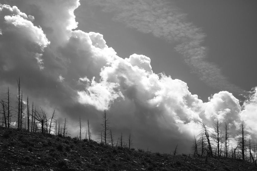 GNP_Eastern slope_Eastern Light_5_Big Sky Clouds_BW.jpg