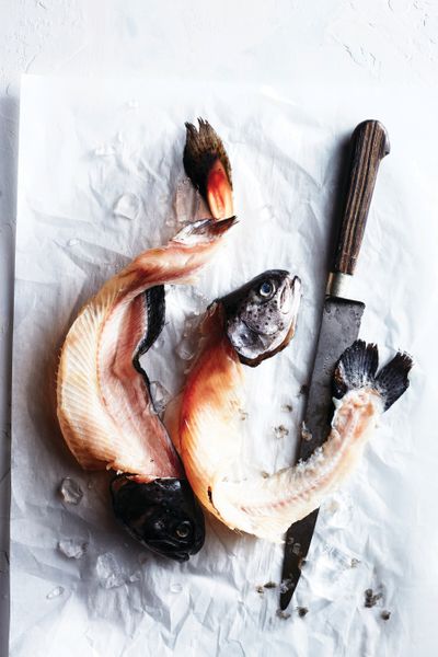 Fish | SeaFood | Still Life Photography | Prop Styling Amy Paliwoda