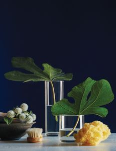 Beauty and Botanics| Product Photography | Cosmetic Styling Los Angeles