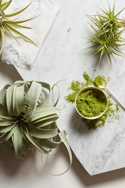 Matcha Powder Photo Composition  | Food Photography | Prop Styling Los Angeles