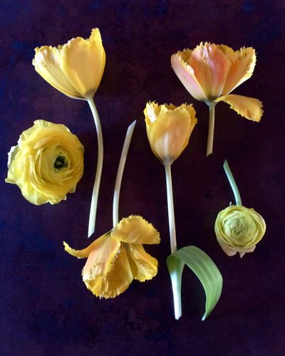 Amy Paliwoda | Los Angeles Prop Stylist