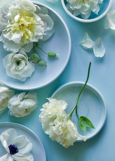 Los Angeles Prop Stylist | Product Photography