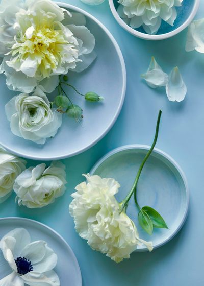 Los Angeles Prop Stylist | Product Photography