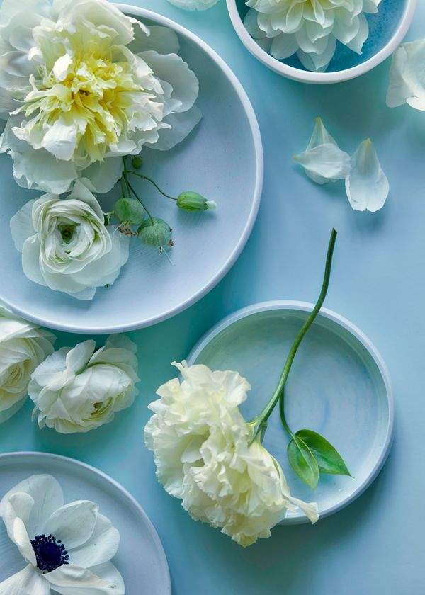 Los Angeles Prop Stylist | Product Photography