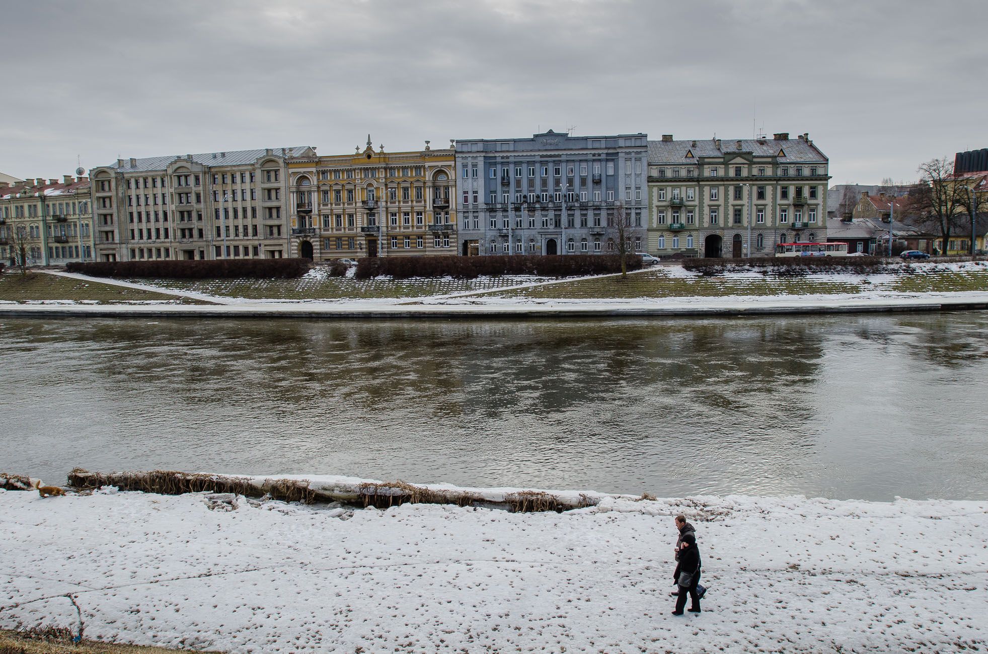 Ted Lieverman-41465.JPG