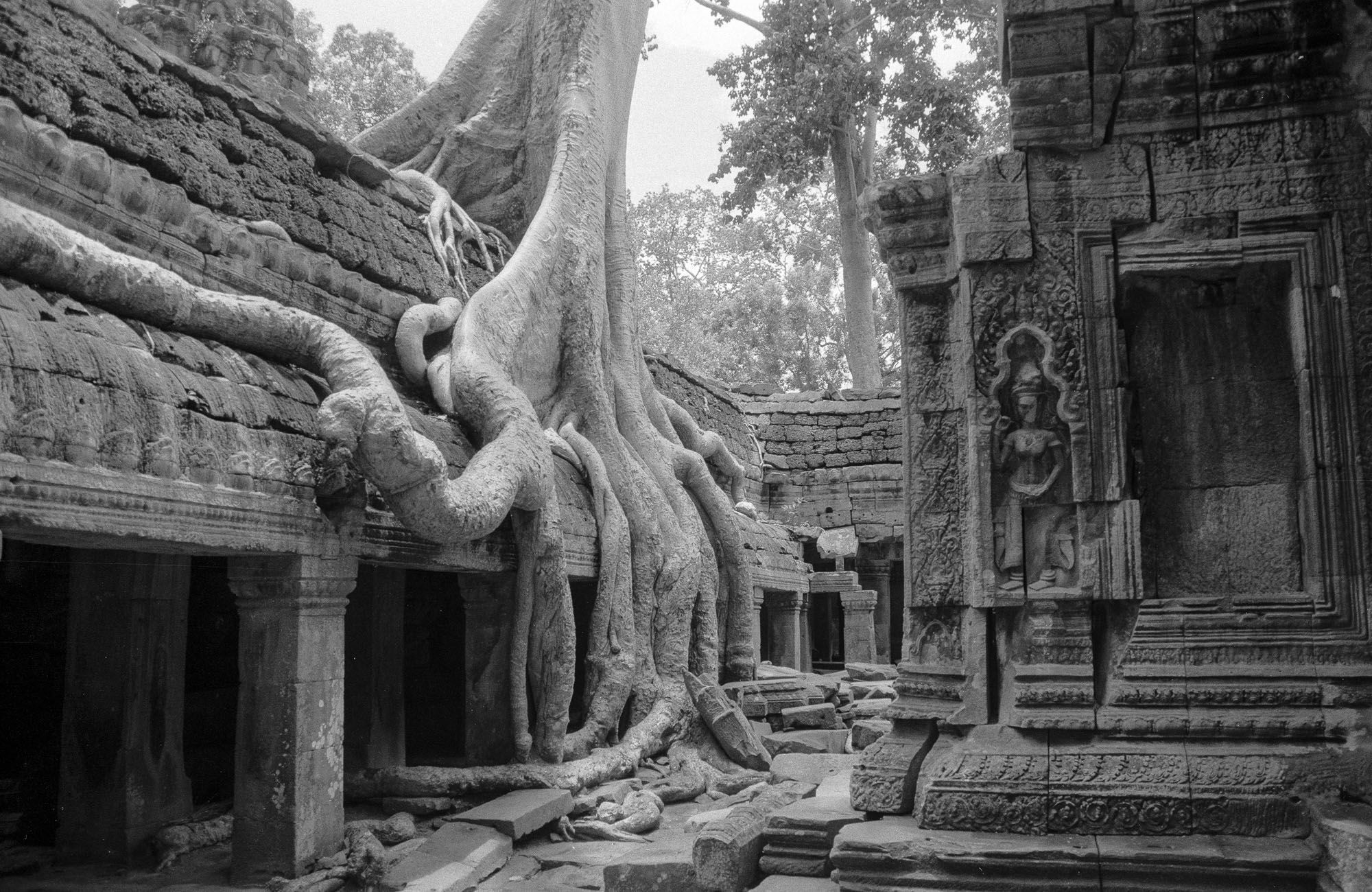 Ted Lieverman-0005.JPG