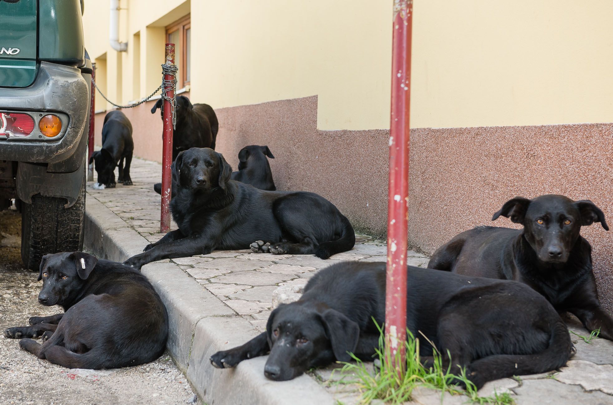 Ted Lieverman-126093.JPG