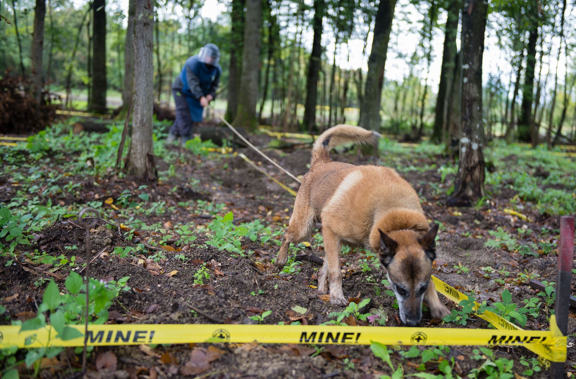 Ted Lieverman-113077.JPG