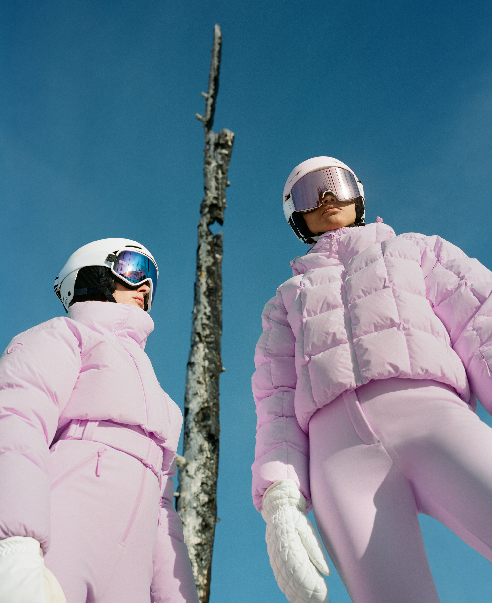 Pink Puffer Winter 