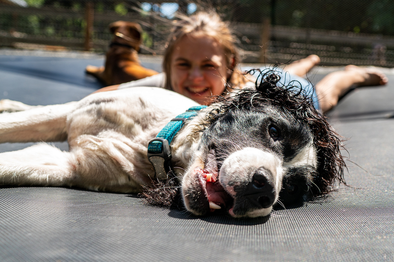 A girl and her dog