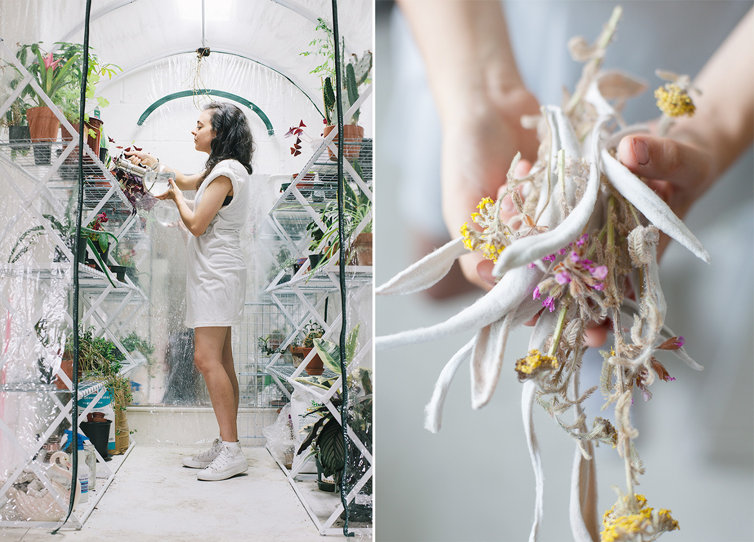 Modern, white greenhouse photo and flowers Gorgeous greenhouse images