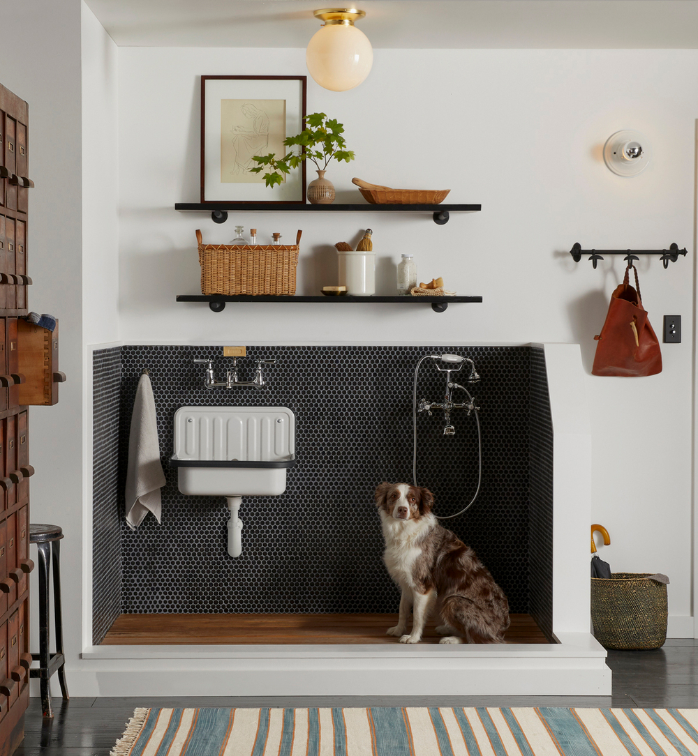 beautiful dog wash station with australian shepherd Dog Wash Station