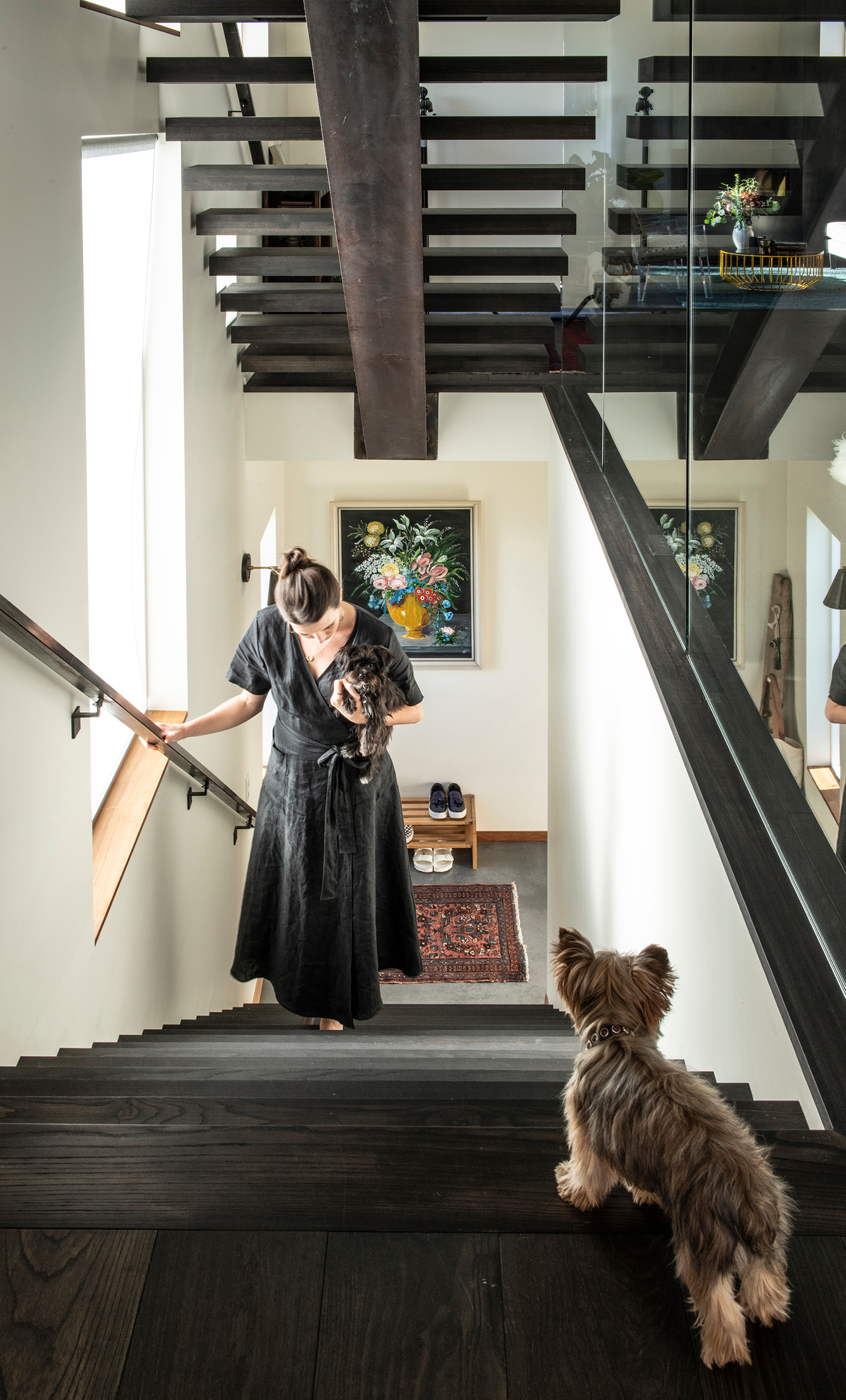 Interior editorial photo with terriers