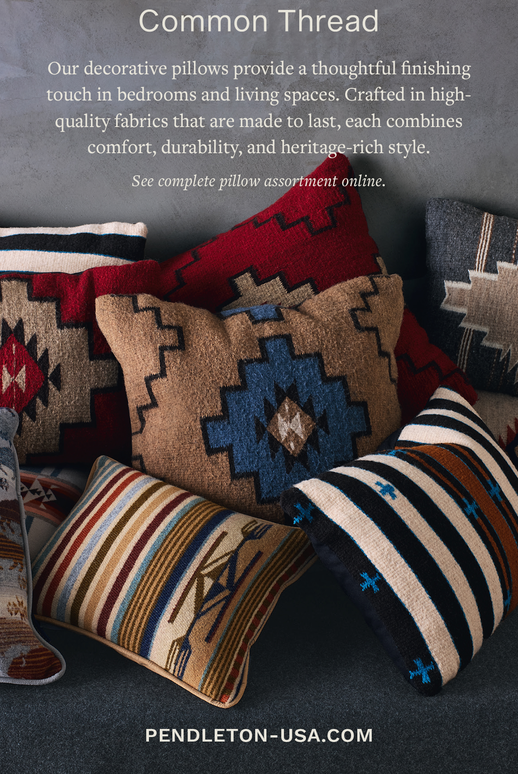 pendleton pillows 