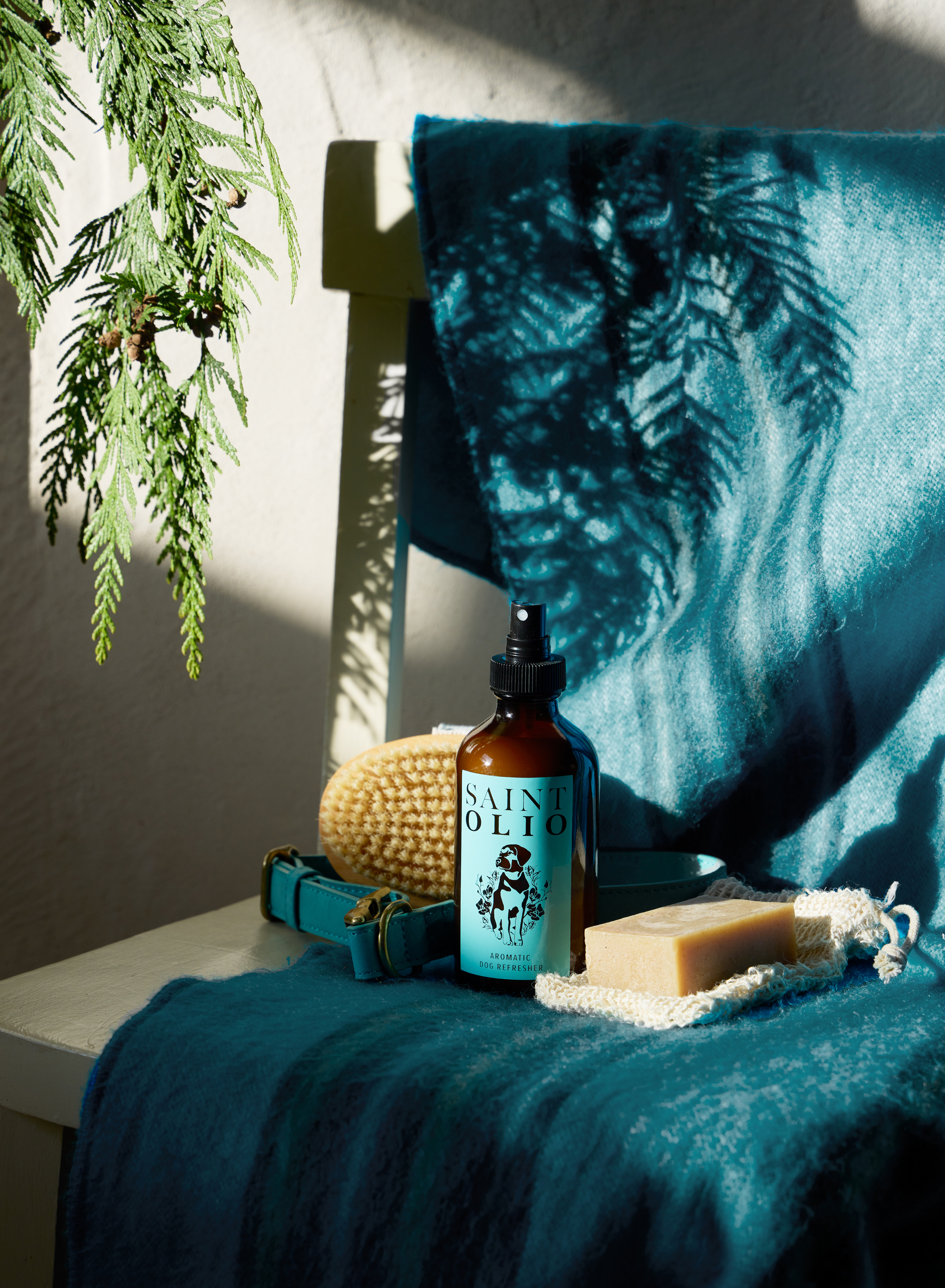 St_Olio_26_0912.jpg
