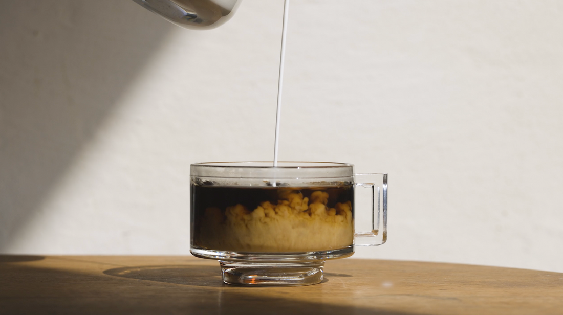 Warby Parker Freeze Frame Cover Photo 