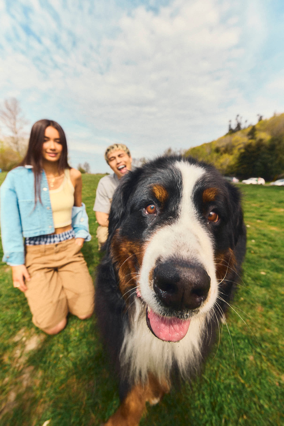 union bay summer picnic 