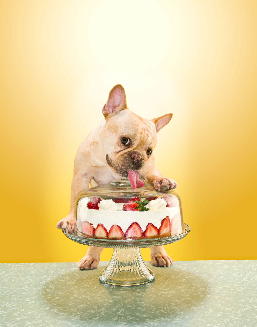 High-end photo retouching for advertising and editorial photography Photo Retoucher Seattle