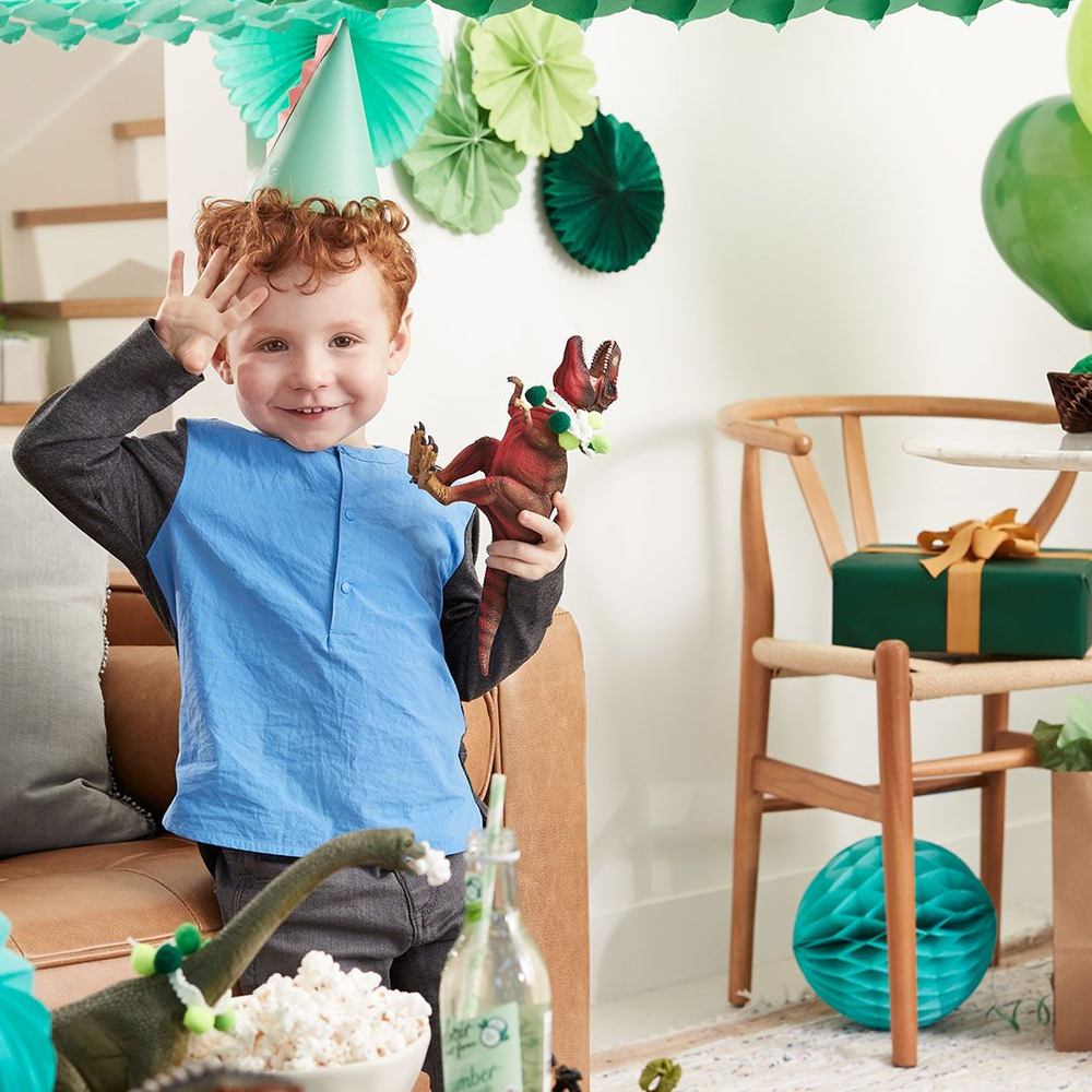 little boy in green party had holding a toy t-rex smiles at a birthday party - photo retouching by commercial retouch artist Jon Birdseye little boy in green party hat at birthday party