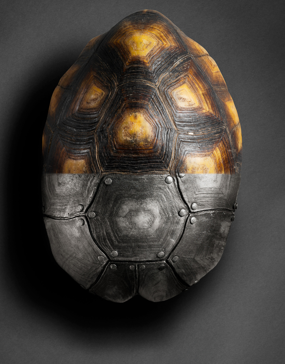 Armor Photo Retouching