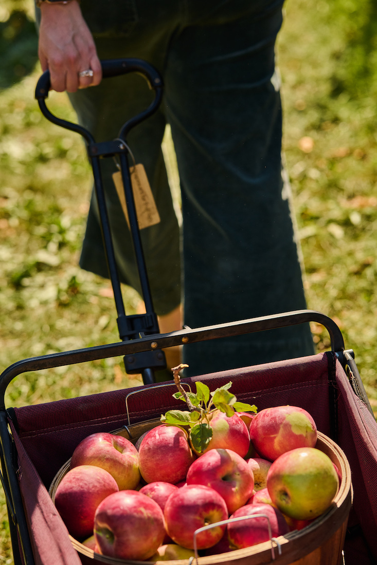sarah flotard  Sarah Flotard - Seattle Based Commercial Lifestyle Food And Beverage Photographer