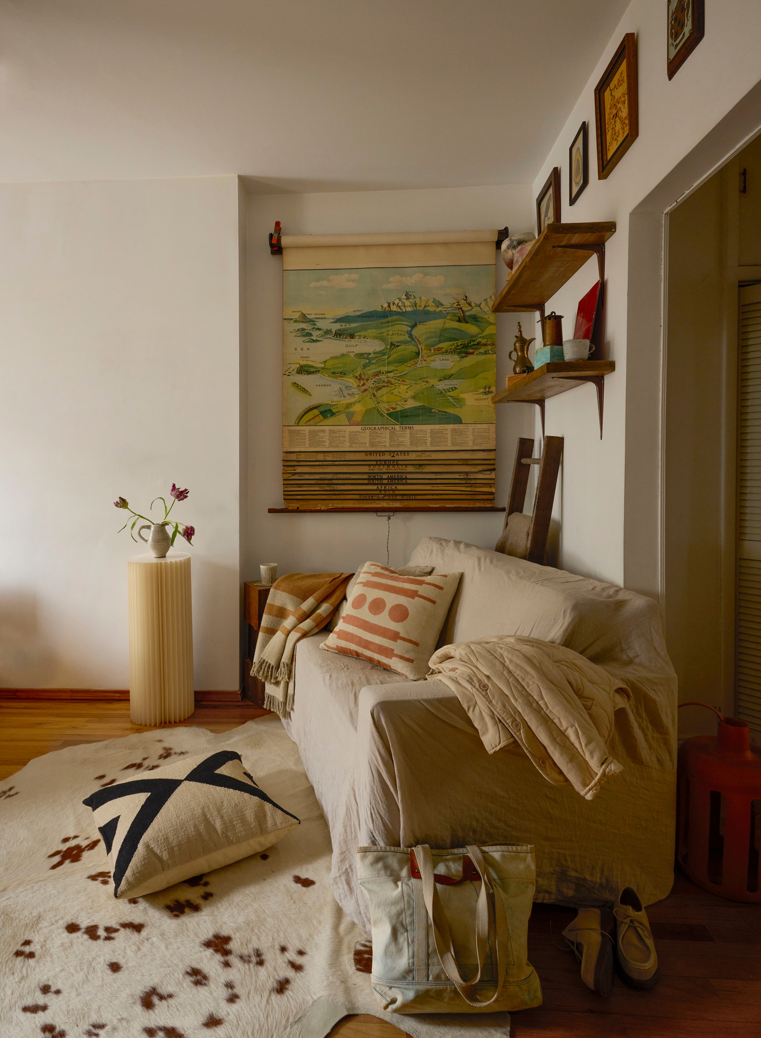 a cozy white sofa with fun pillows and blankets sits in a small living room with a cowhide rug and wooden shelves photographer by George Barberis Brooklyn Loft By George Barberis